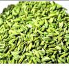 fennel for export