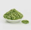 fennel for export