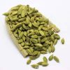 Green Cardamom Natural Best Quality Fresh Elachi Spice bulk green cardamom dry Best cardamom price