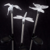 Solar Clear Butterfly ...