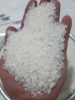JAPONICA ROUND RICE (SUSHI RICE/ JAPANESE RICE)/ WA: +84352310575