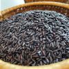 ORGANIC BLACK BROWN RICE, HIGH QUALITY VIETNAMESE GOODS, BEST SELLER IN 2021/ WA: +84352310575