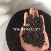 BLACK PEPPER HIGH QUALITY AND COMPETITIVE PRICE/ KATE +84352310575