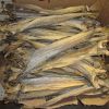 Stockfish 