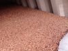 Red sorghum