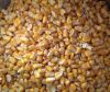 Yellow corn Ukraine origin containers shipment