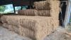 Coconut Fiber