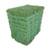 Super Top Quality Alfafa Hay for Animal Feeding Stuff Alfalfa / Timothy / Alfalfa Hay for Sale