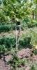 fiberglass rods as tre...