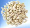 Sell pine nut kernels