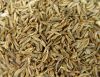 Sell cumin seeds