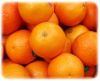 Sell Fresh Oranges (Ci...