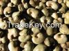 Sell Raw Dried Cashew ...