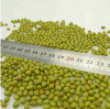 Sell Wholesale Best Qu...