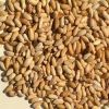 Sell Fenugreek Seed ,p...