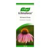 Sell A Vogel Echinaforce 50ml