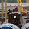 steel coil,steel pipe