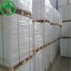 Food Grade Paper Board with Single or Double PE Coated Cup Stock Board