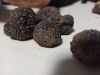 Black Truffles