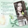 Ammonia free hair dye easy hair color comb