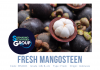 Fresh Mangosteen