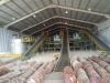 Sago Flour Indonesia G...