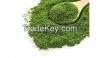 SPINACH DRIED GROUND