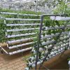 OMANA Hydroponic Agric...