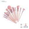 Pink 12Pcs Cosmetic Ma...