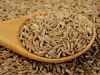 Cumin Seed