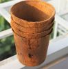 Eco-friendly Coconut C...