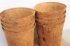Eco-friendly Coconut C...
