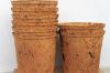 Eco-friendly Coconut C...