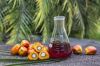 Crude Palm Oil (CPO) f...