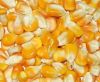 Dried Yellow Corn / Dr...