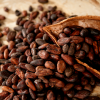 High quality fine cocoa beans 