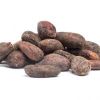 High quality fine cocoa beans 