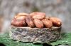 Cocoa Beans Ariba Caca...