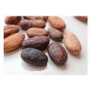 High quality fine cocoa beans 