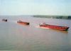 Iron Ore