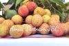 Fresh Lychee GlobalGAP...