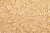 Sesame Seed