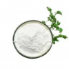 Free Sample Pharmaceutical/Industrial/Agricultural Grade Zinc Sulphate Heptahydrate/Monohydrate CAS 7733-02-0