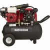 NorthStar Portable Gas...