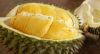 Fresh Durian RI6 Good ...