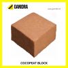 COCOPEAT BLOCK offer f...