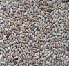  LSKB light speckled k...