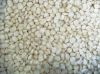 Selling Best Grade White Corn Maize For Animal Feed White Maize Corn