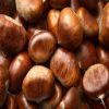 Wholesale Chestnut Raw...