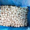 Sinocharm BRC-A Certified Sweet Peeled Seedless Tropical Fruit IQF Frozen Lychee